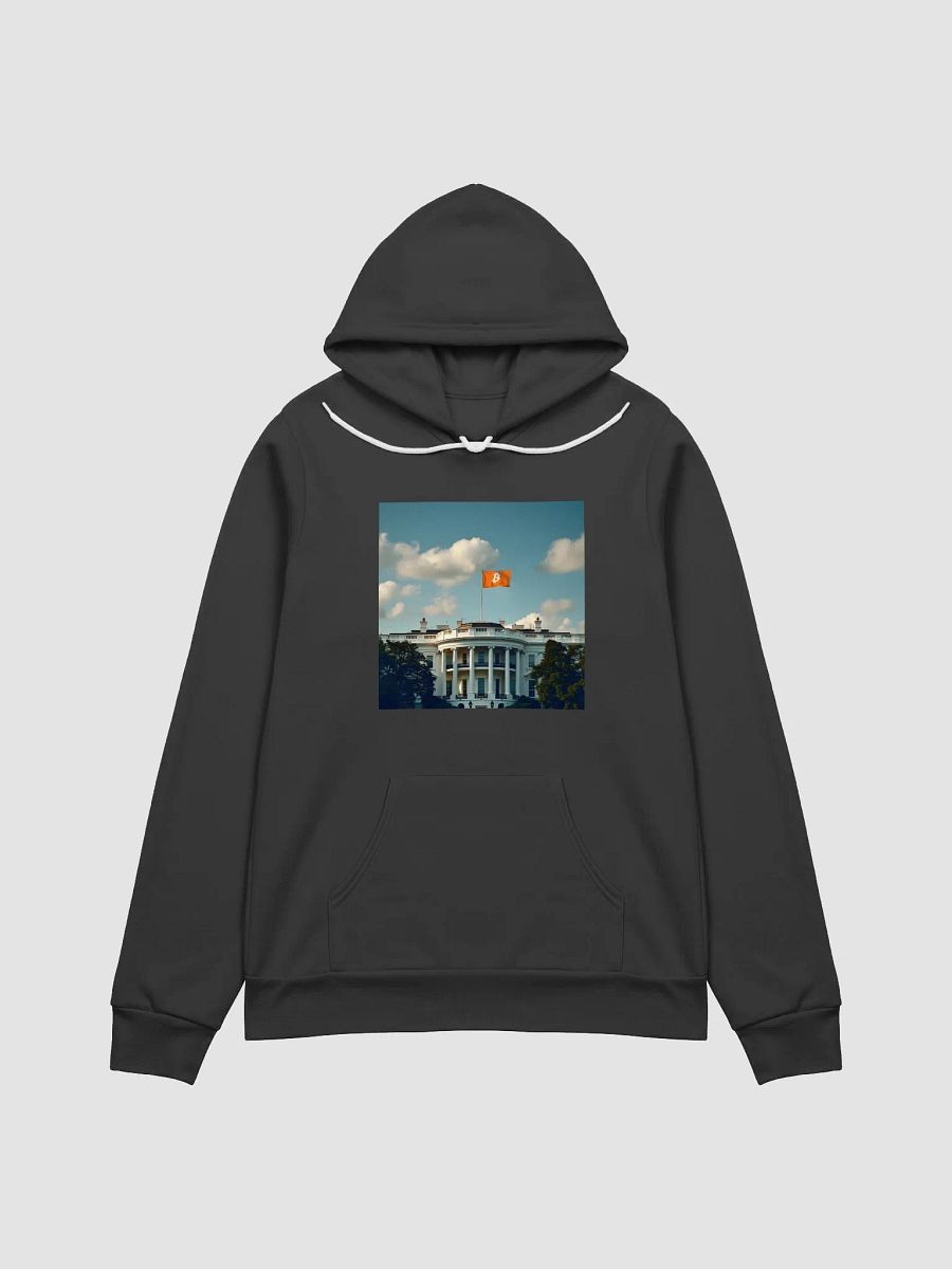 Bitcoin President Hoodie product image (4)