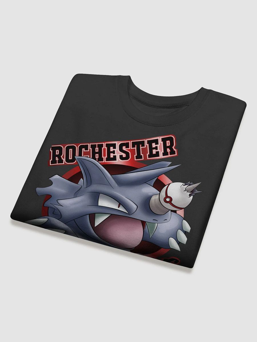 ROCHESTER RHYDONS CREW SWEATER product image (4)