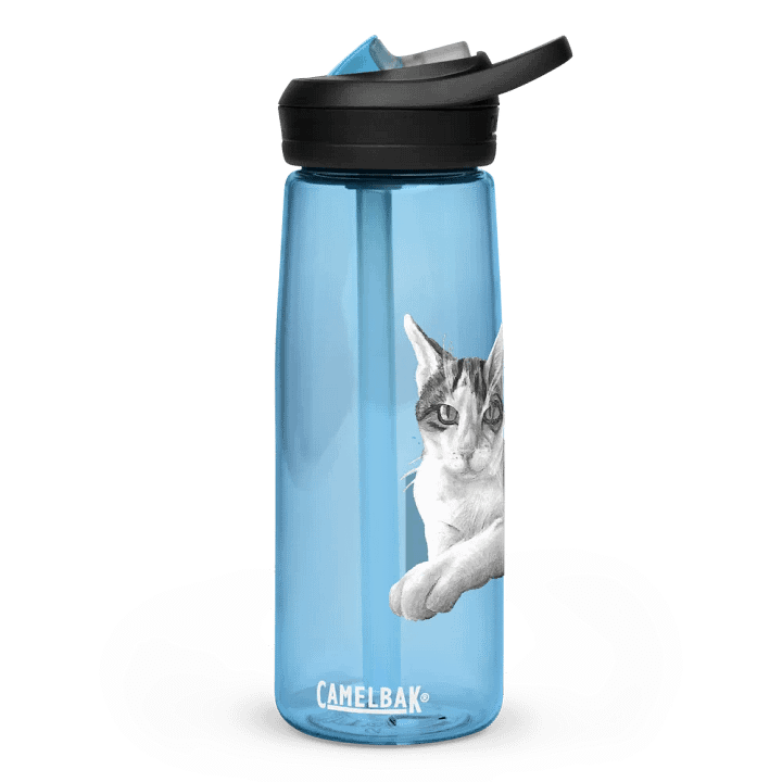 Cat Drawing Water Bottle Straw product image (4)