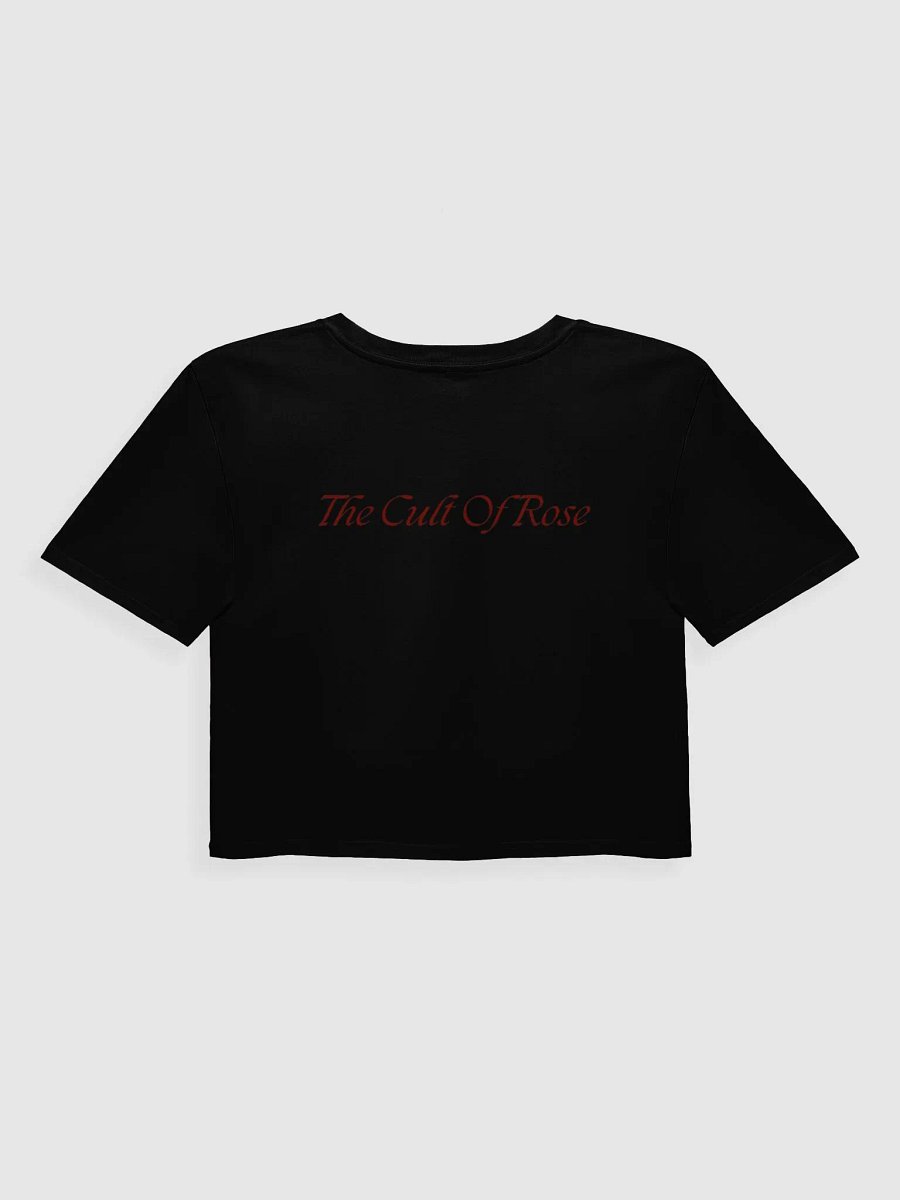 Deity Crop Top product image (2)