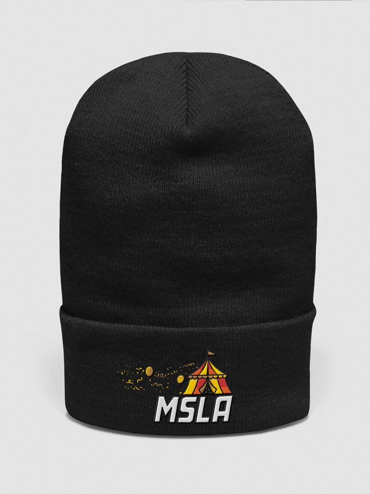 The Festival - Beanie product image (2)