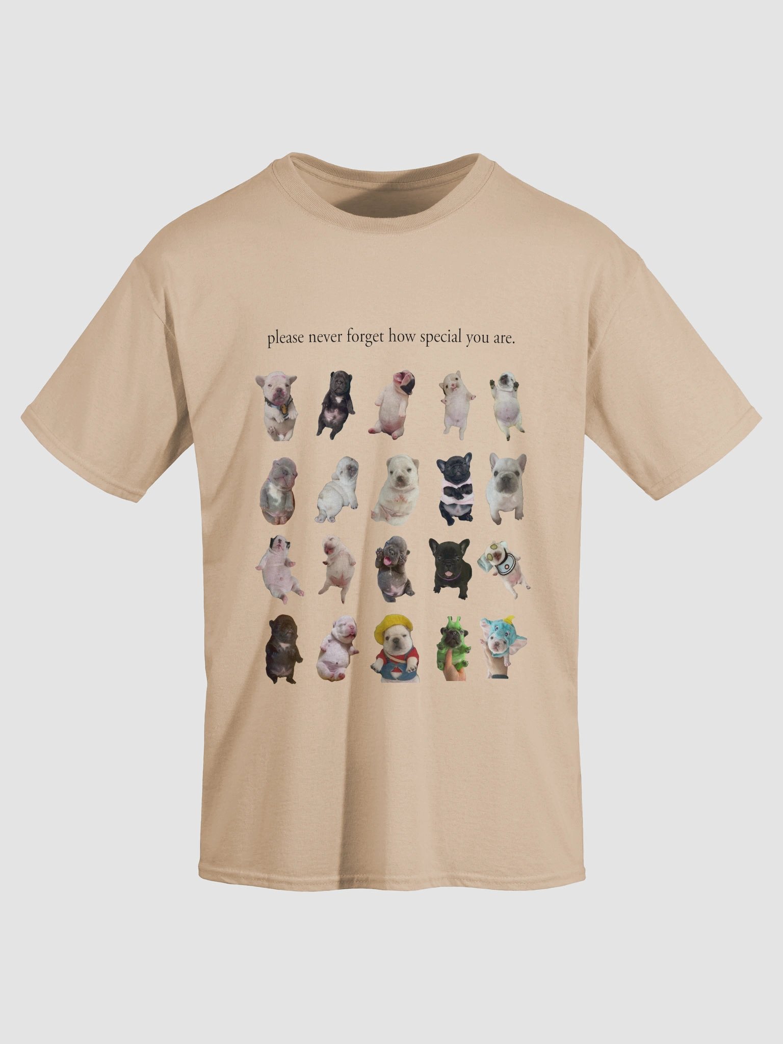 you are so special tee shirt (and backside) - light colors product image (14)