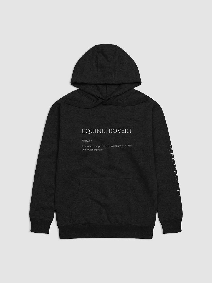 EQUINETROVERT Premium Hoodie product image (1)