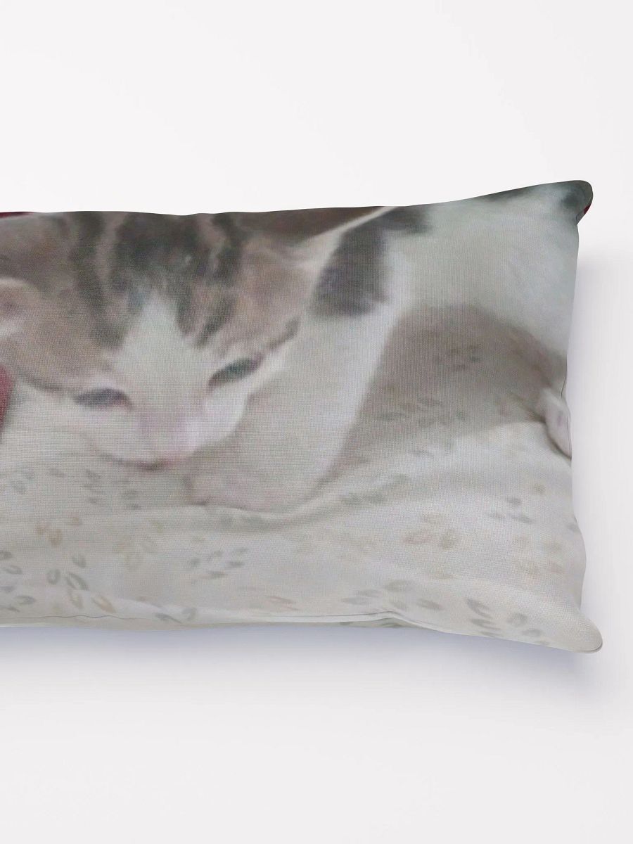 Adorable Kitten product image (4)