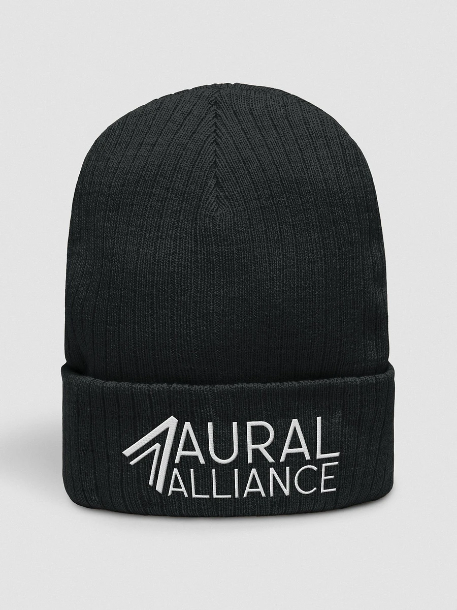 Aural Alliance Logo Beanie Hat product image (7)
