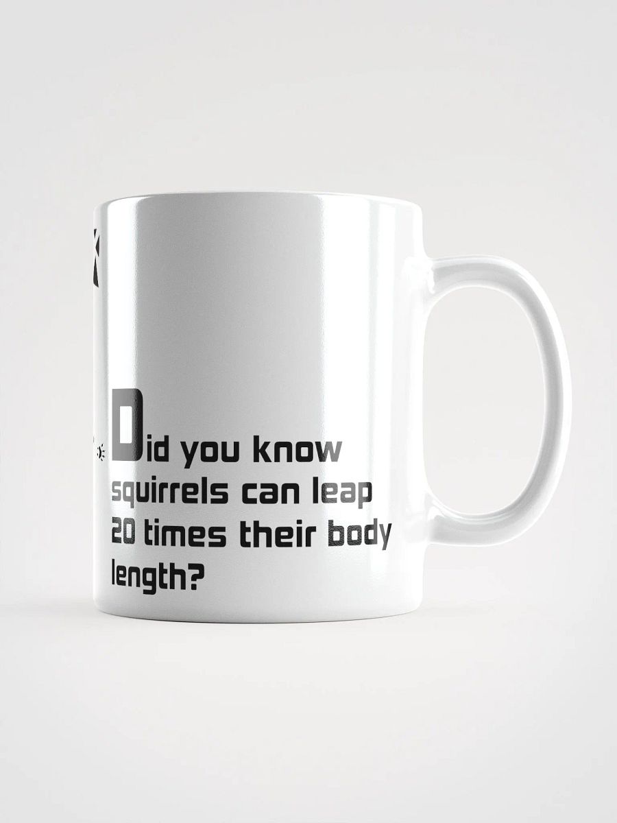ADH...Didyouknowaboutsquirrels Mug product image (3)