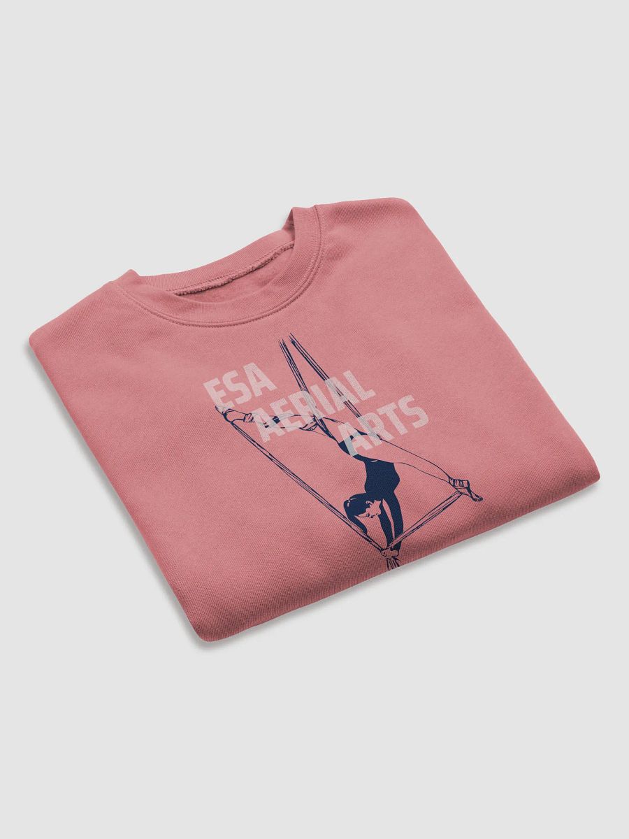 ESA Aerial Silhouette Women's Crop Sweatshirt product image (7)