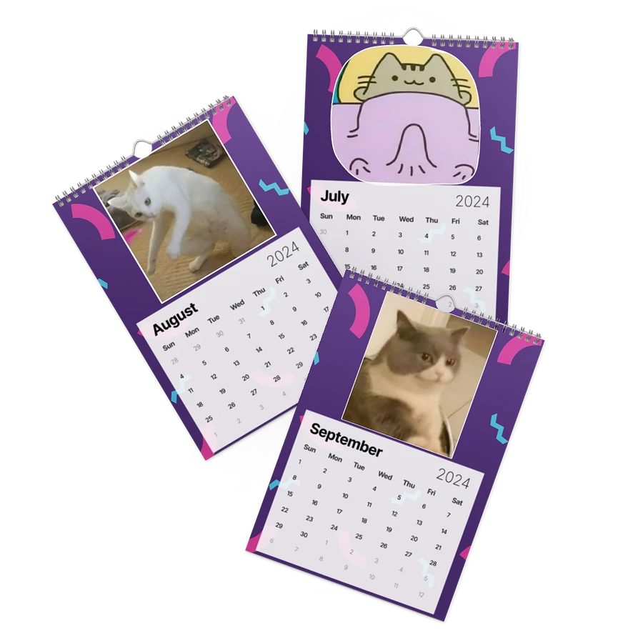 Wall Calendar (2024): Meme Cats product image (10)