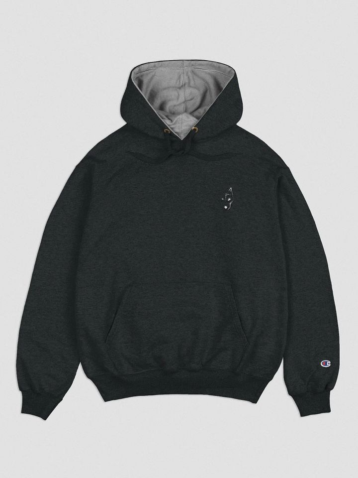 Skaya Embroidered Champion Hoodie product image (2)