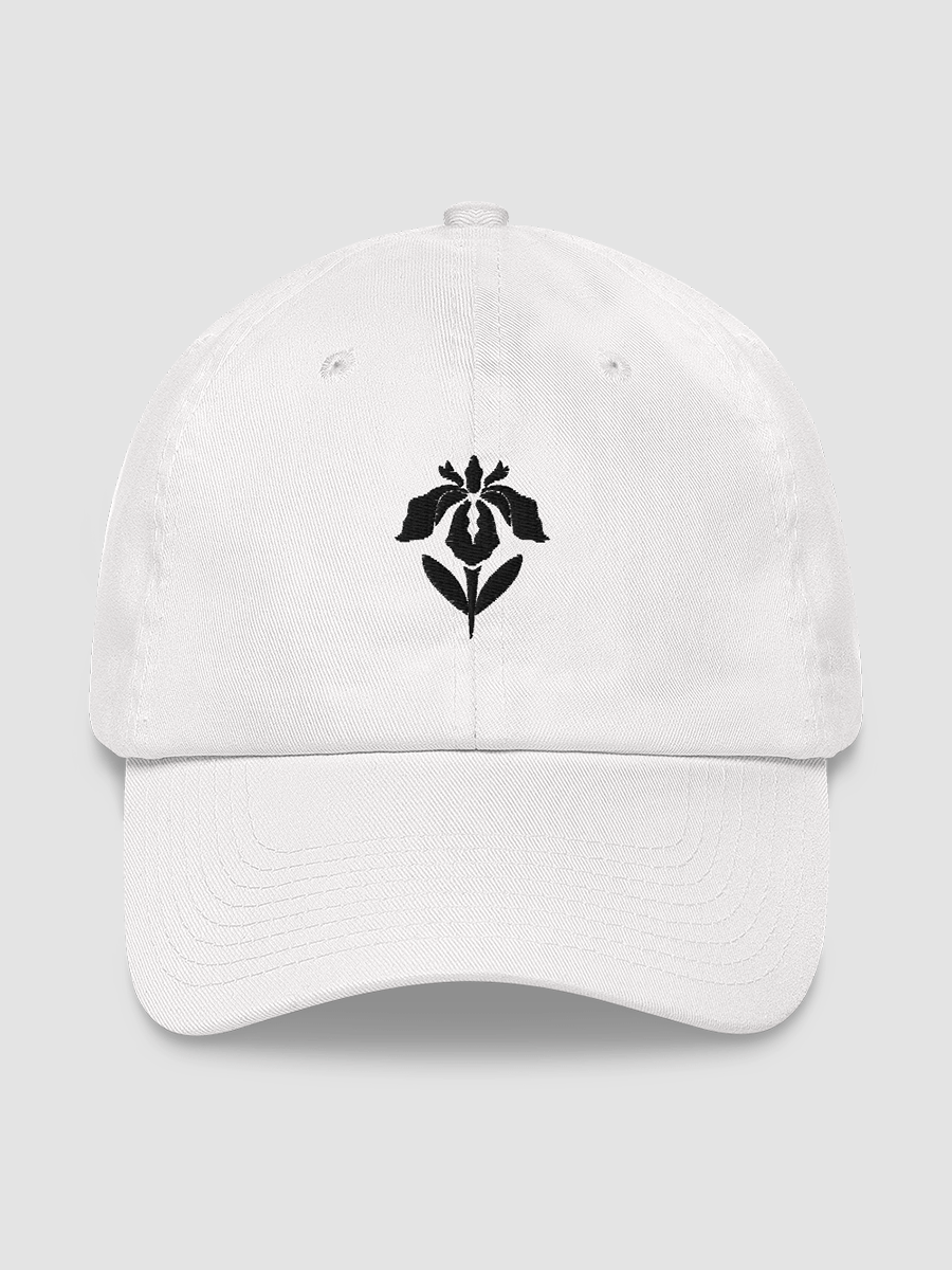Embroidered Classic Dad Hat product image (2)