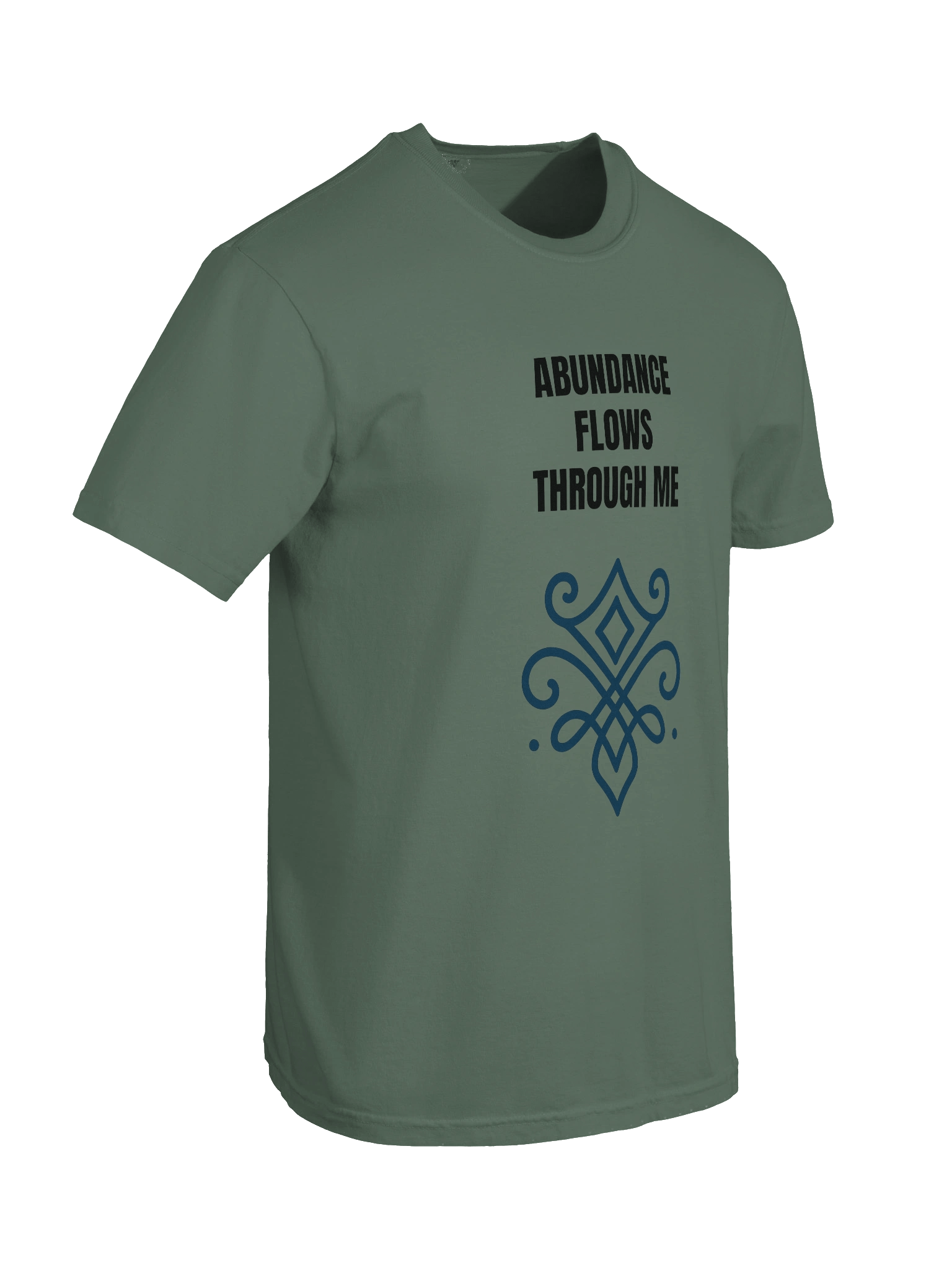 Abundance Flows Through Me: Manifest Money Abundance product image (8)