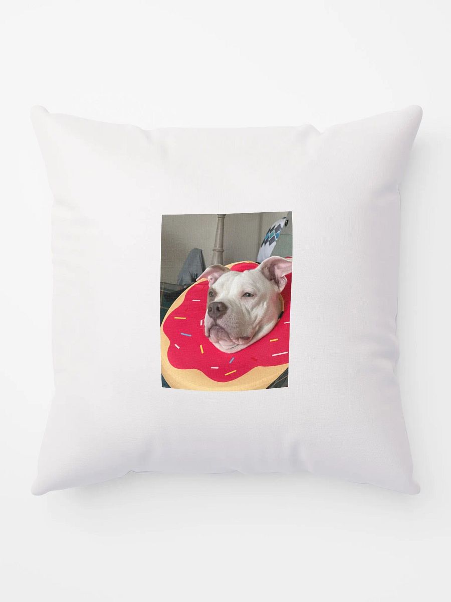 Haz Pillow product image (7)