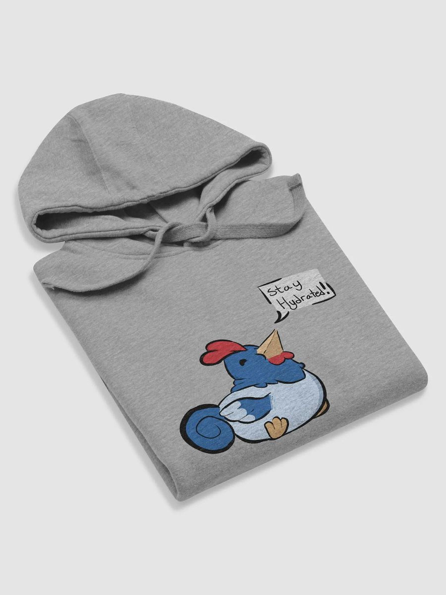 Stay Hydrated Hoodie (Classic Merch) product image (6)