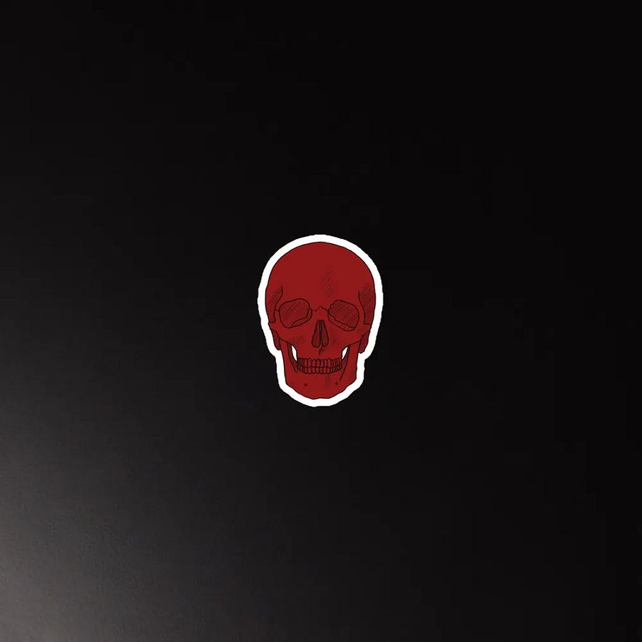 Skull magnet product image (5)