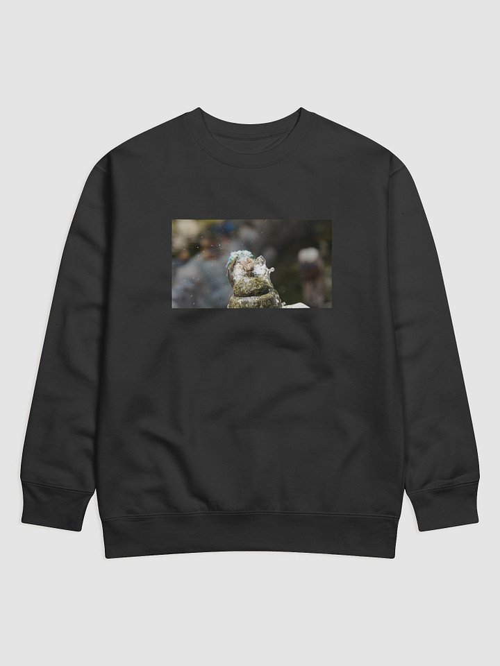 Splish Splash Bird Bath Cotton Sweatshirt product image (1)