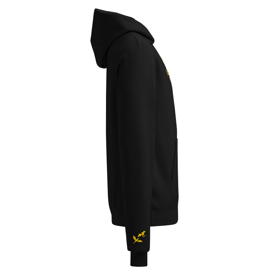 Dragon's Wrath Champion Hoodie product image (4)