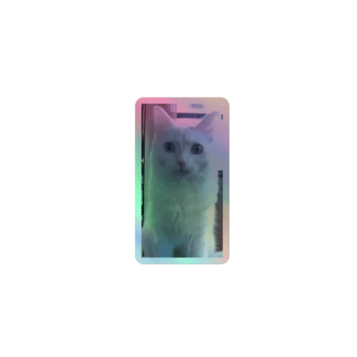 my cat product image (1)