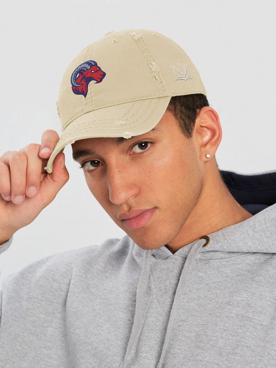 Rochester Ragin Rams Distressed Dad Hat product image (5)