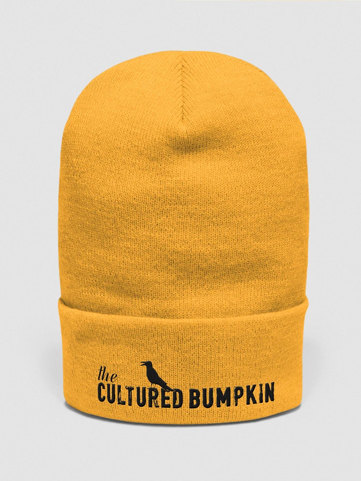 the CULTURED BUMPKIN beanie product image (4)