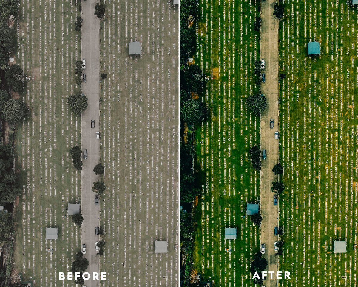 landscape pro product image (6)