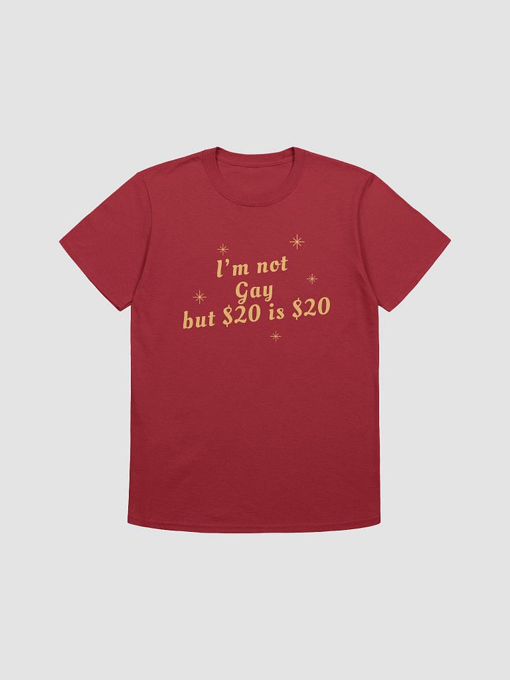 I'm Not Gay But $20 is $20 Unisex T-Shirt V14 product image (1)
