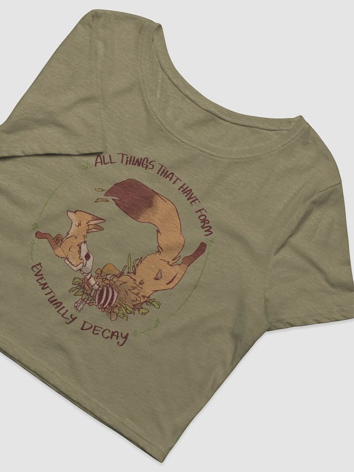 All Things Decay Croptop product image (1)