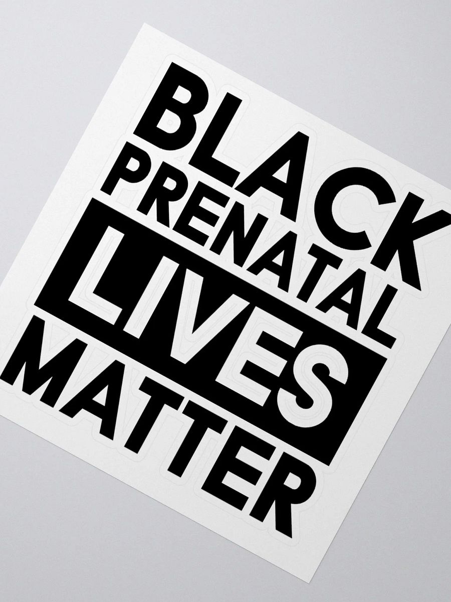 PLM Sticker (Black) product image (6)