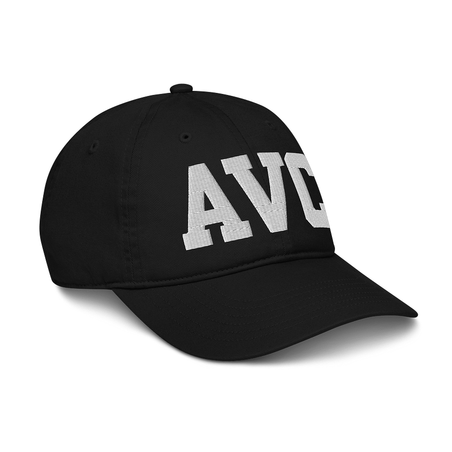 AVC Organic Dad Hat by Econscious product image (6)