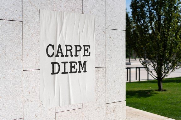 Carpe Diem Seize the Day Poster product image (4)