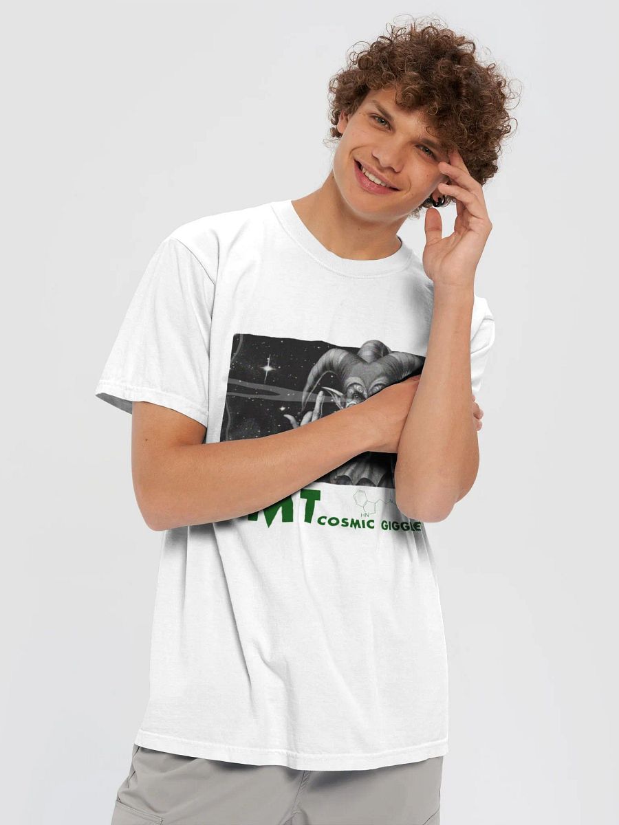 DMT Jesters product image (5)