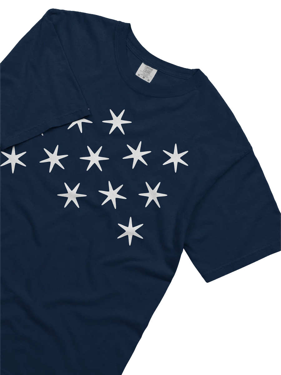Washington Standard T-shirt product image (3)