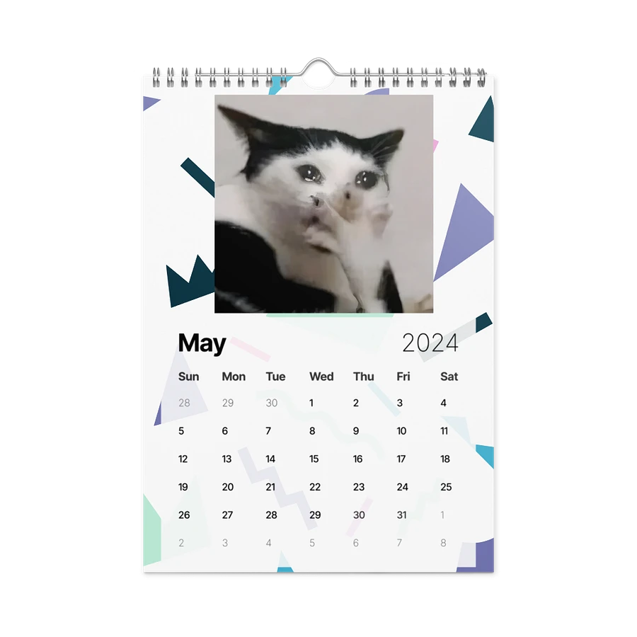 Wall Calendar (2024): Meme Cats product image (14)