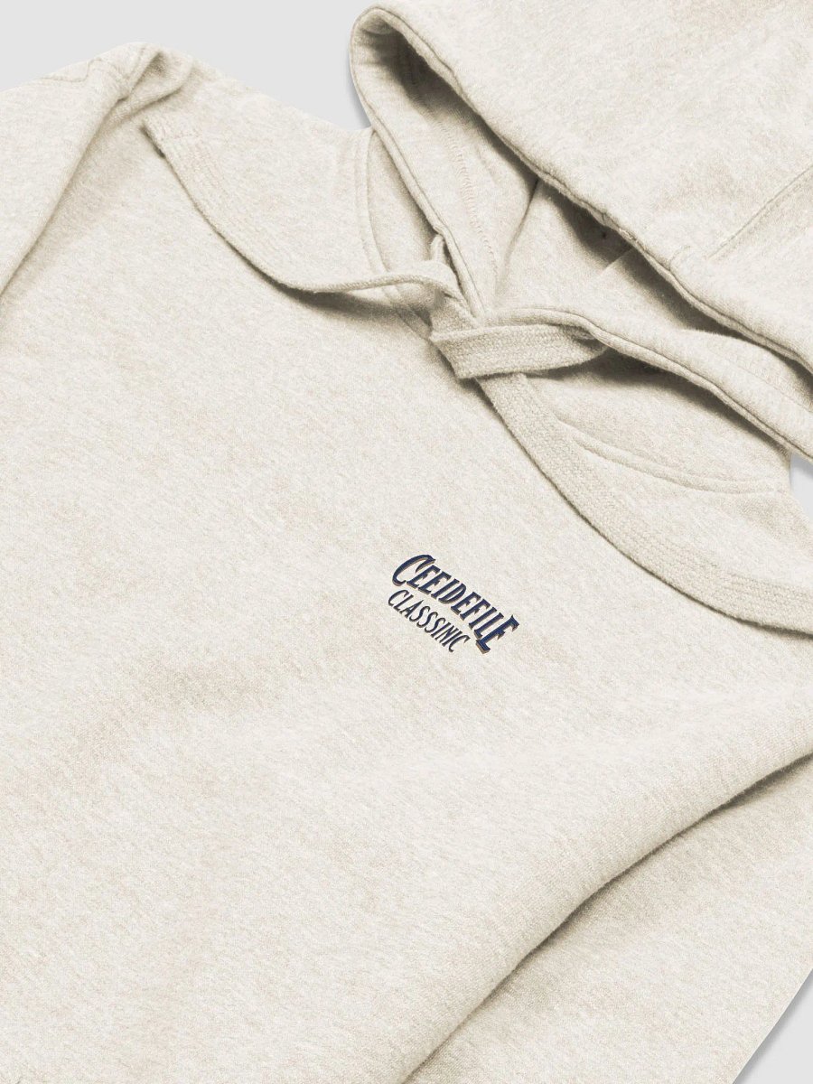 Cee De File Classic Cotton Hoodie product image (30)
