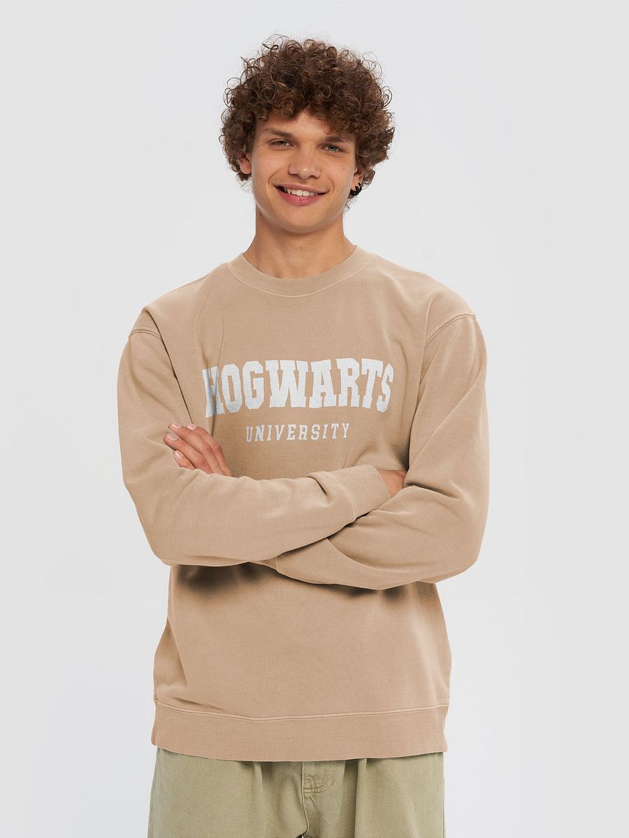 Hogwarts University Sweater product image (4)