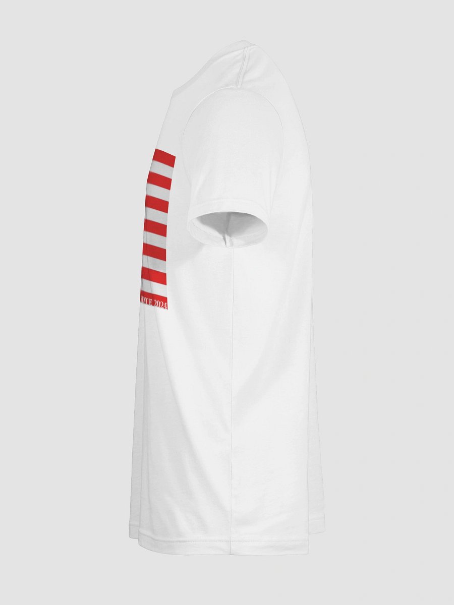 USA FLAG product image (11)