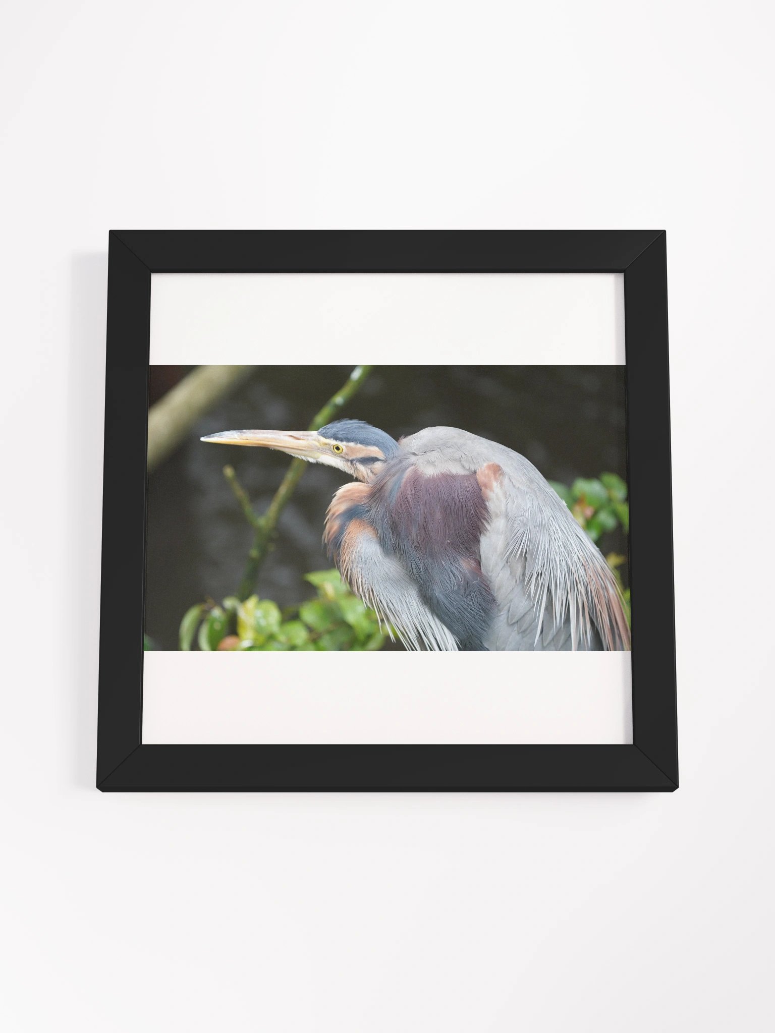 Vibrant Ayous Wood Framed Matte Poster product image (16)