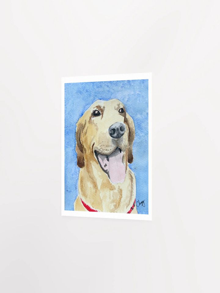 Yellow Lab Print product image (2)