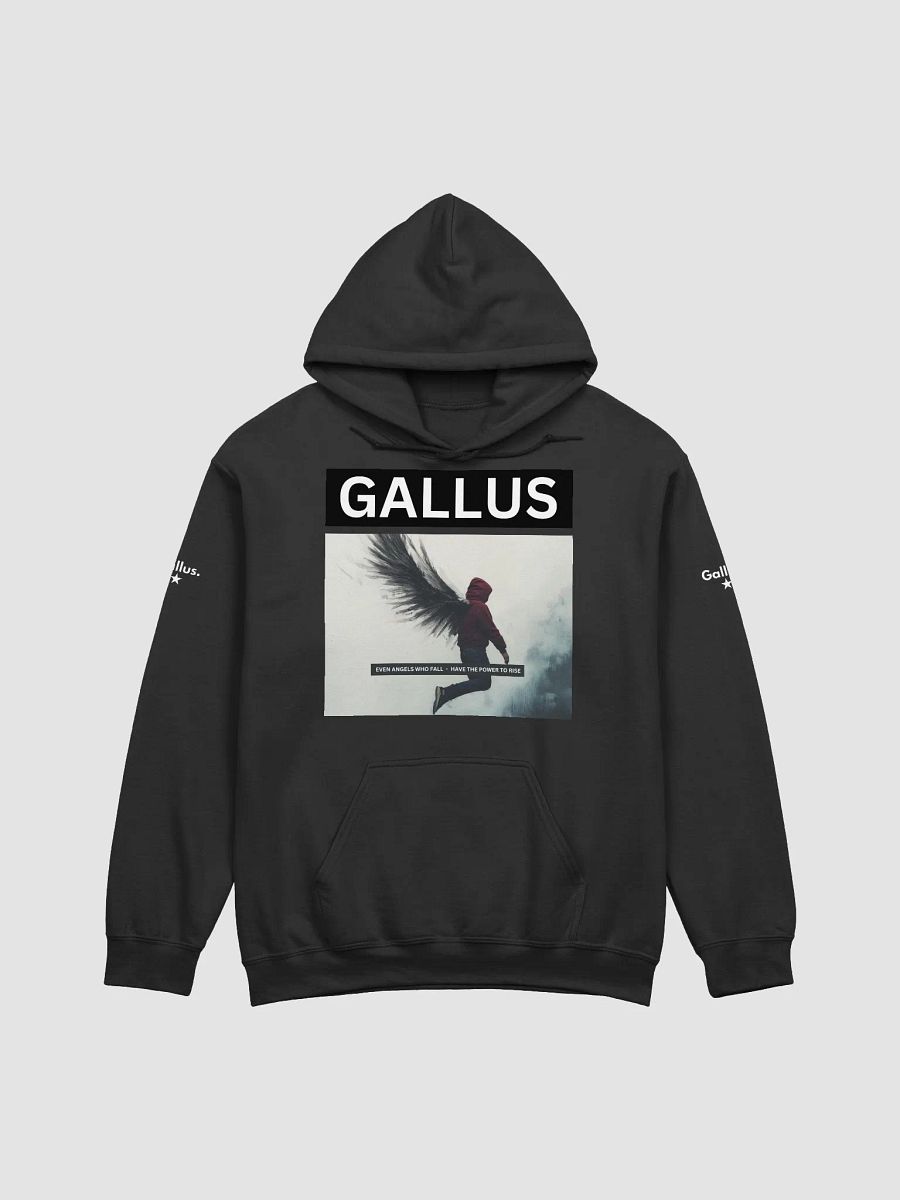 Gallus Hoodies product image (1)