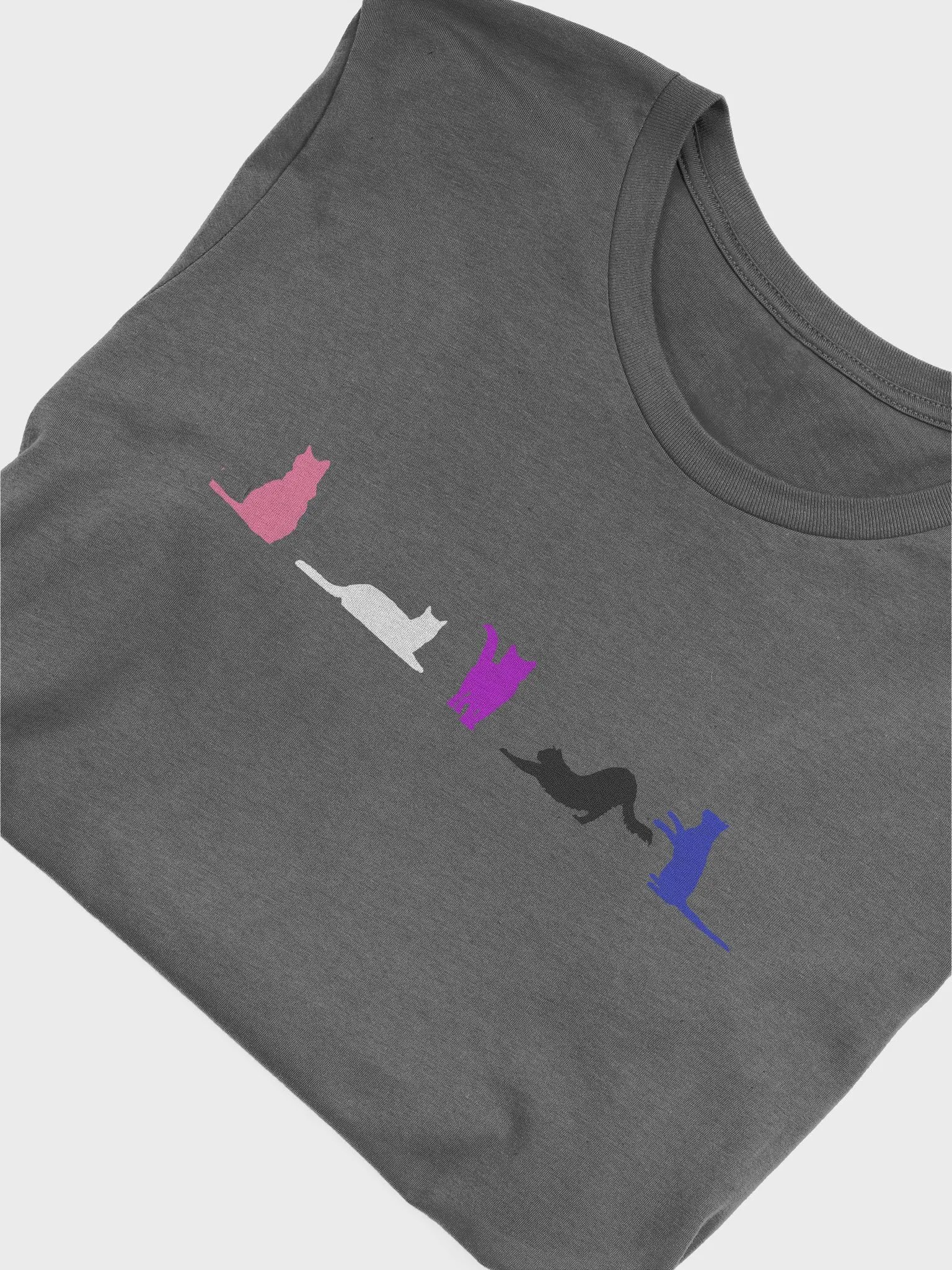 Genderfluid Pride Cats Women's Shirt product image (46)