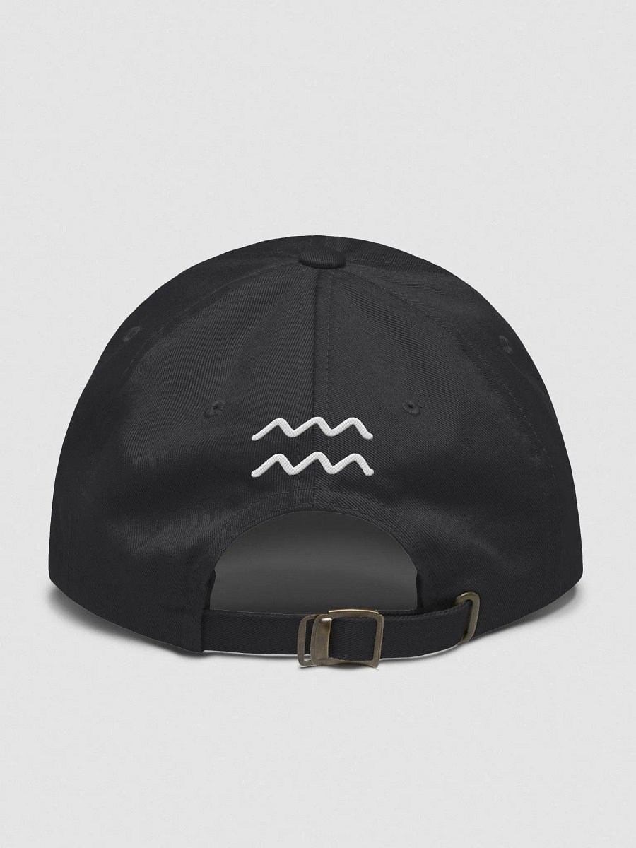 Big Aquarius Energy Dad Hat product image (8)