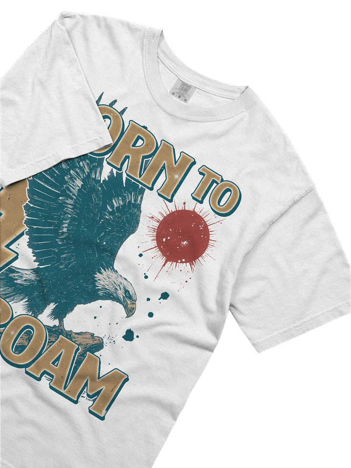 Born To Roam - Retro Eagle Heavy Weight T-shirt product image (1)