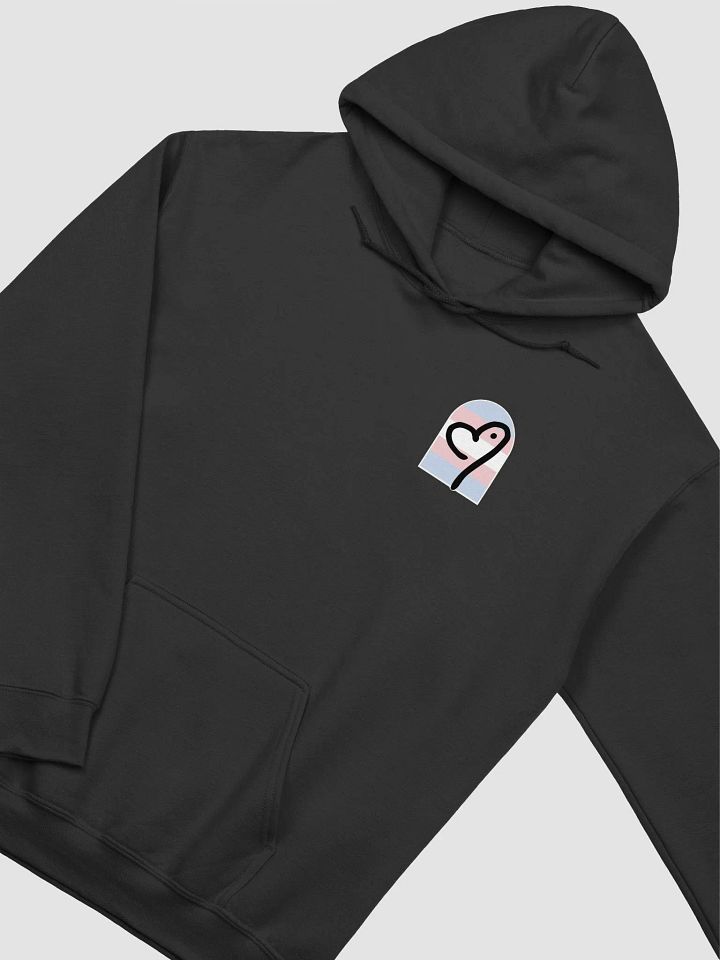 Trans Flag - Pride Logo Hoodie product image (1)