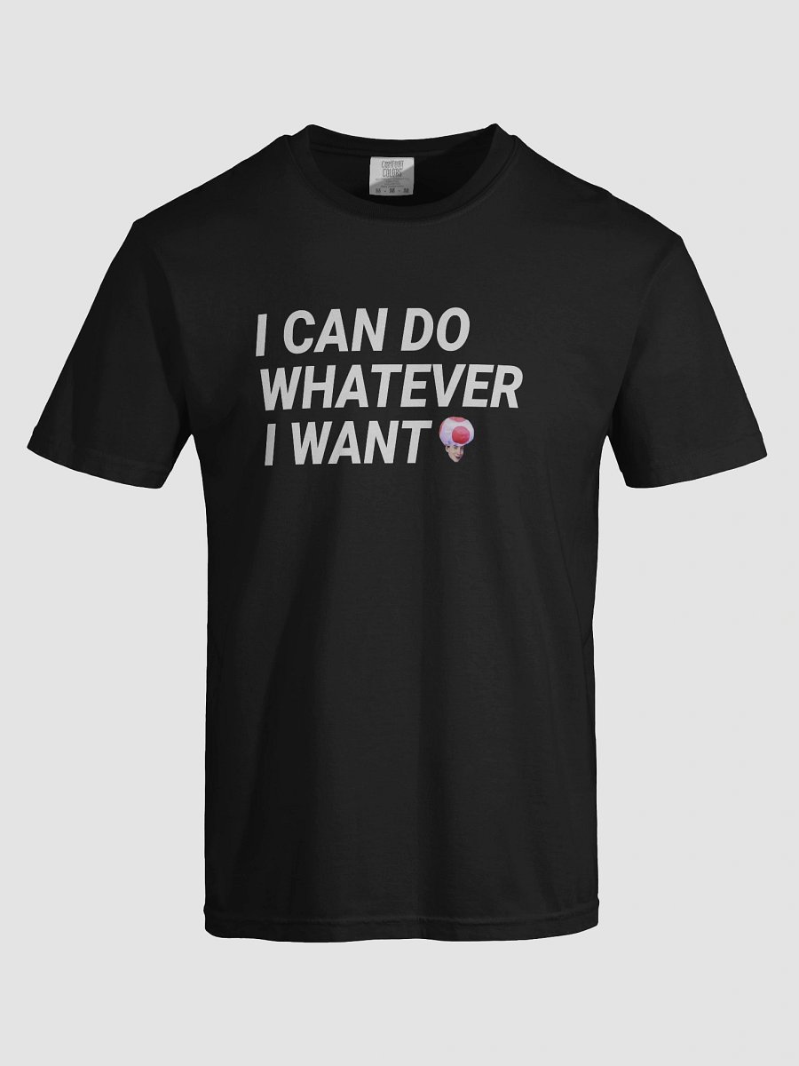 I CAN DO W.E I WANT SHIRT product image (64)