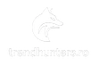 Trend Hunters Romania