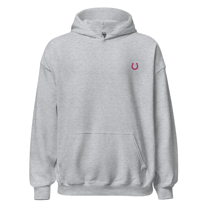 horseshoe embroidered hoodie product image (1)