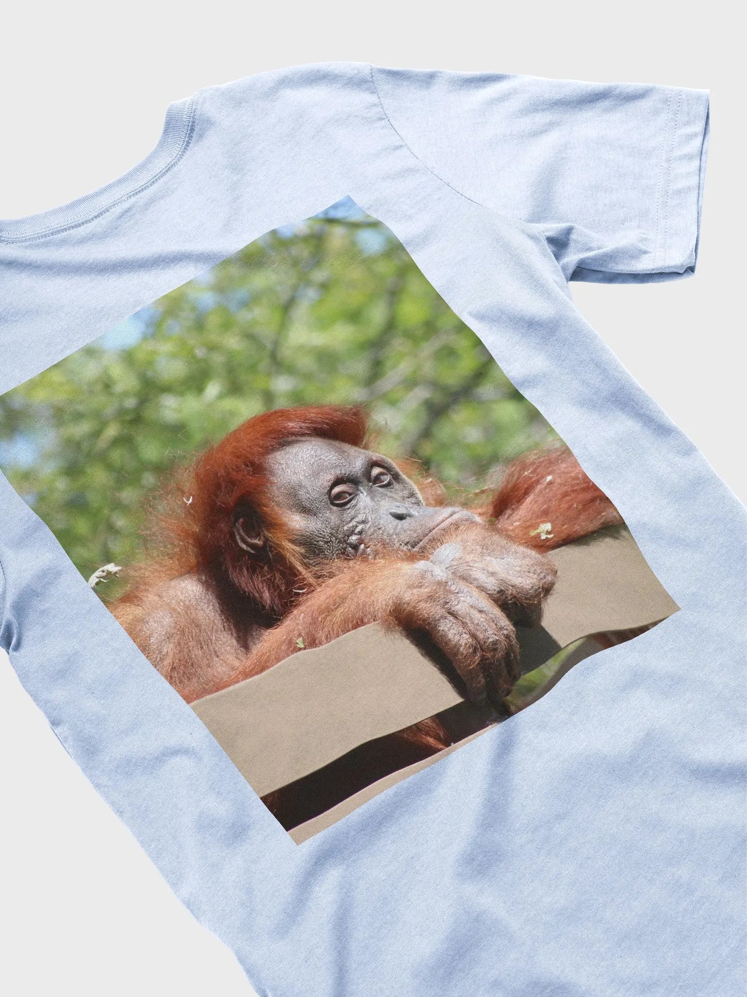 2025 CO3 tee orangutan product image (4)