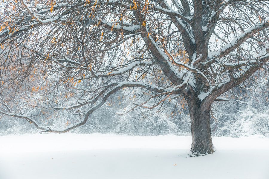 EarlyWinter product image (1)