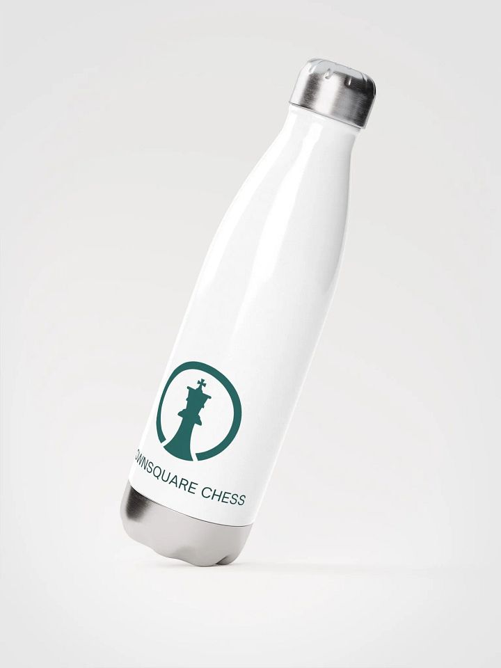 Stainless Steel TownSquare Water Bottle product image (2)