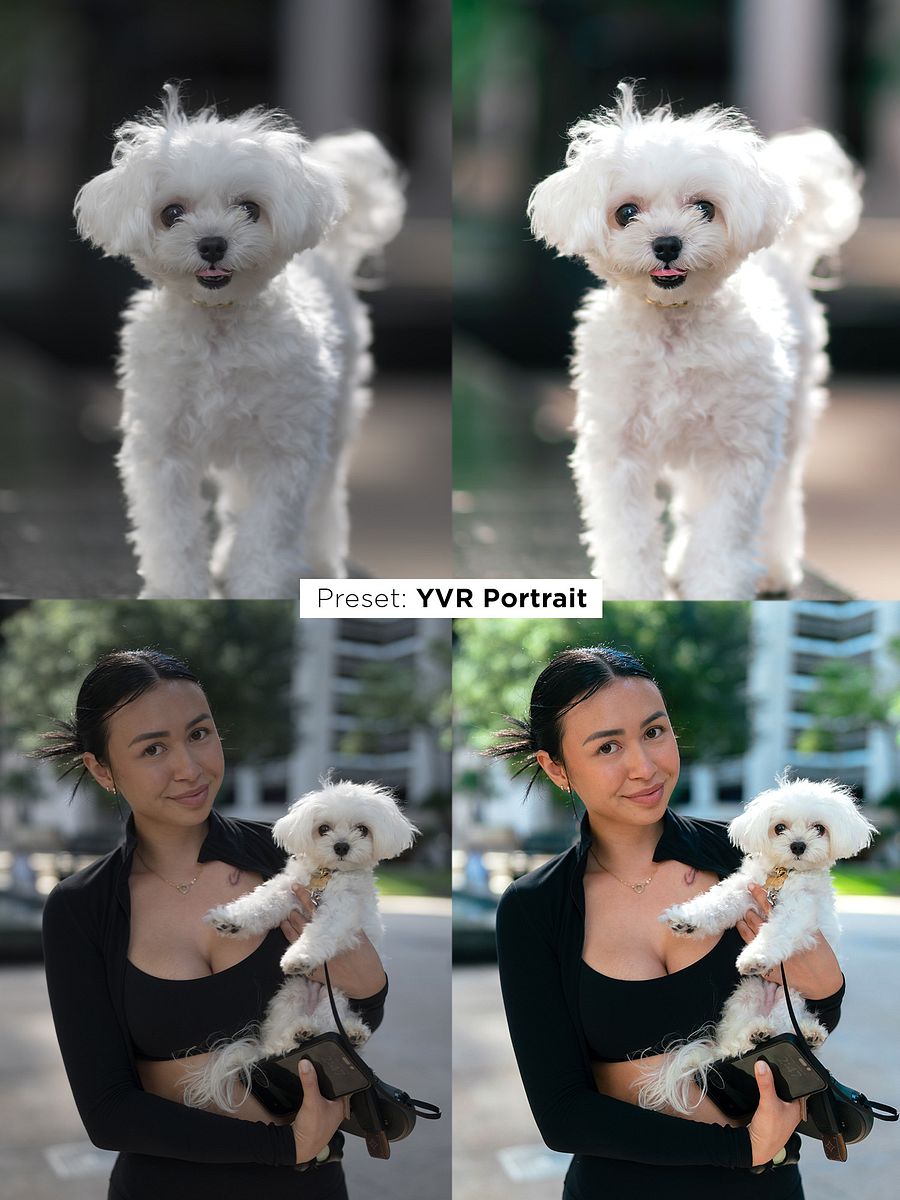 Pawtrait Presets product image (6)
