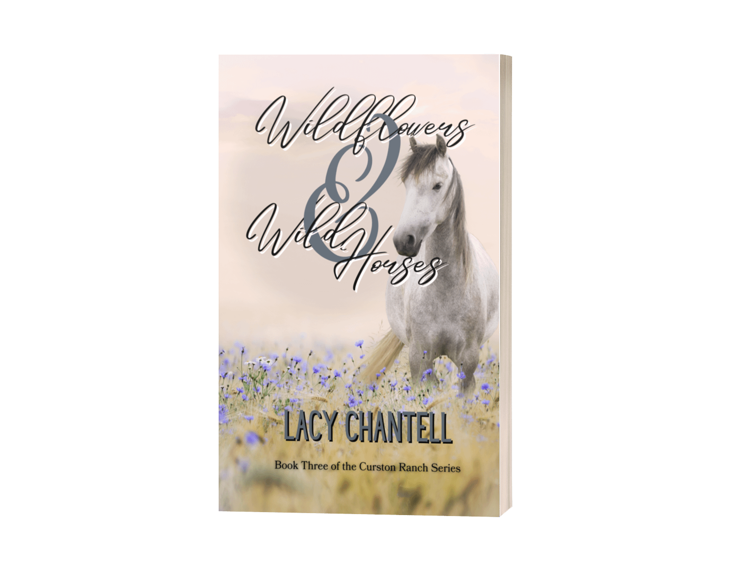 Out of Print : Wildflowers and Wild Horses Paperback product image (1)